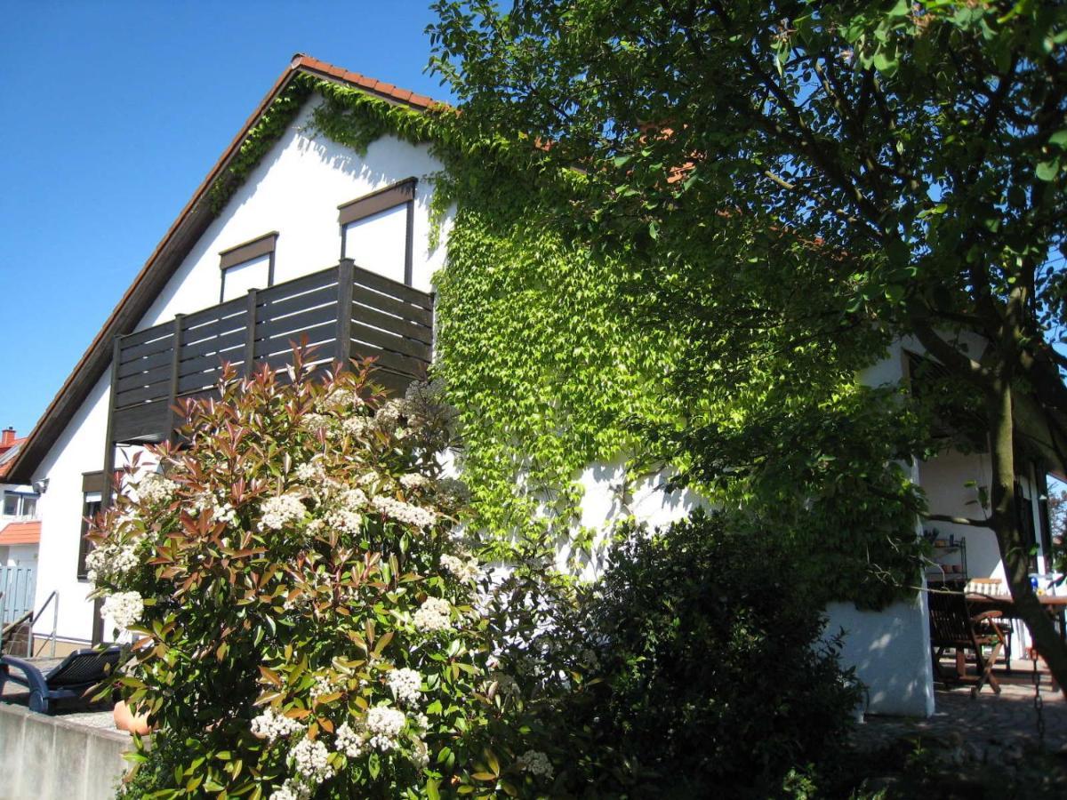 Ferienwohnung Rheinzabern - 4 Sterne Luaran gambar